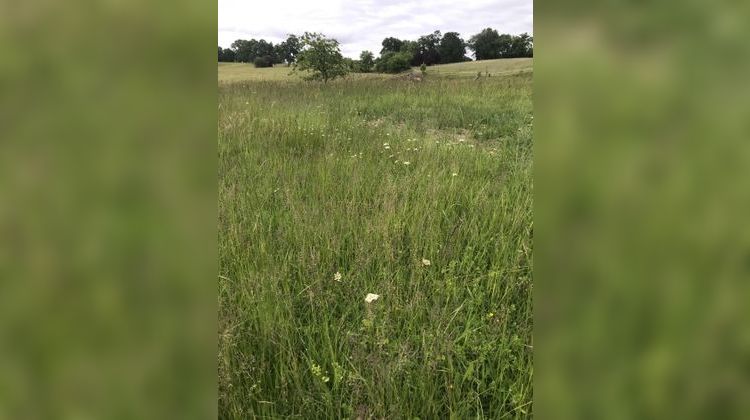 Ma-Cabane - Vente Terrain Salies-de-Béarn, 3421 m²