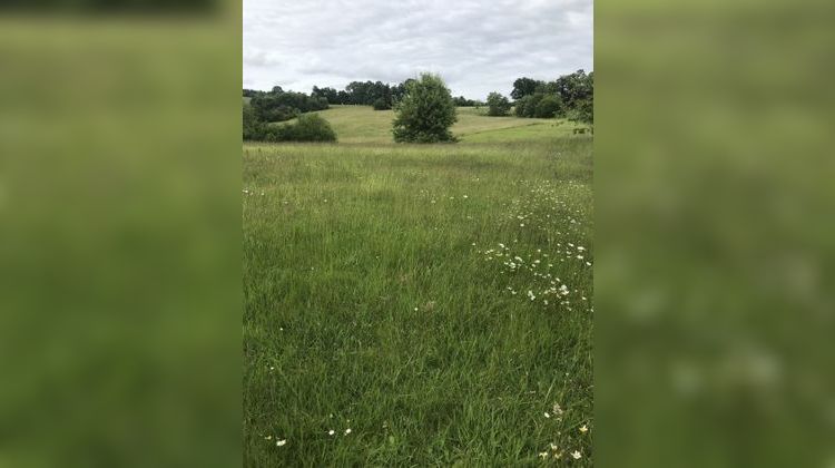 Ma-Cabane - Vente Terrain Salies-de-Béarn, 3421 m²