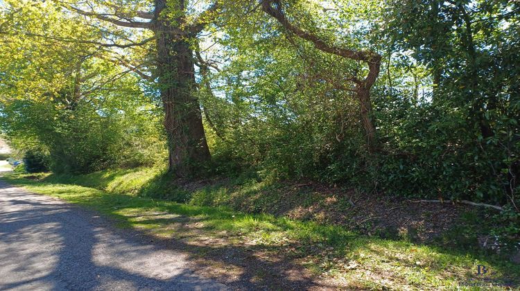 Ma-Cabane - Vente Terrain Salies-de-Béarn, 7120 m²