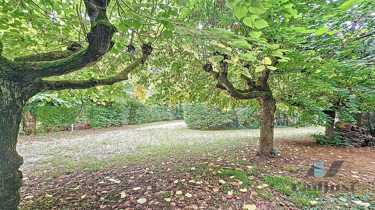 Ma-Cabane - Vente Terrain SAMOREAU, 804 m²