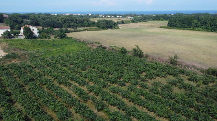 Ma-Cabane - Vente Terrain SAN-NICOLAO, 2000 m²