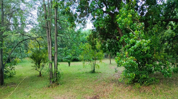 Ma-Cabane - Vente Terrain SAN NICOLAO, 2200 m²