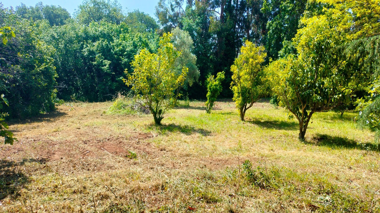 Ma-Cabane - Vente Terrain SAN NICOLAO, 2200 m²