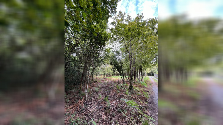 Ma-Cabane - Vente Terrain SANGUINET, 2949 m²