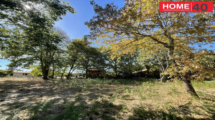 Ma-Cabane - Vente Terrain Sanguinet, 900 m²