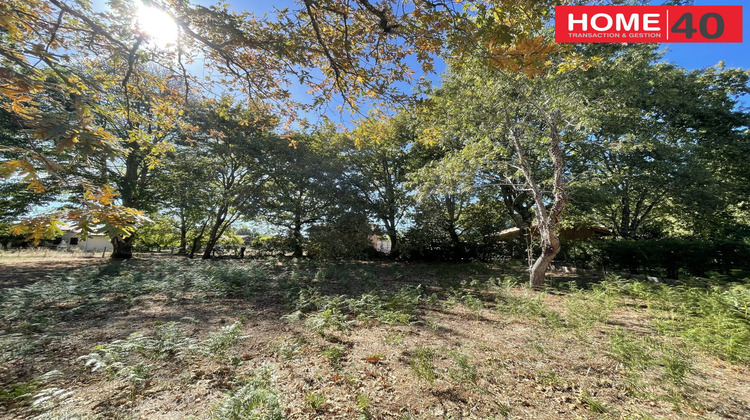 Ma-Cabane - Vente Terrain Sanguinet, 900 m²