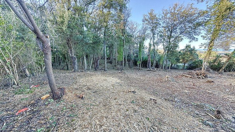 Ma-Cabane - Vente Terrain Santa-Maria-Poggio, 2080 m²