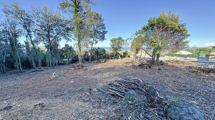 Ma-Cabane - Vente Terrain Santa-Maria-Poggio, 2080 m²