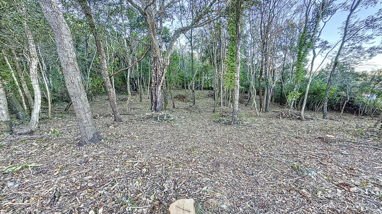 Ma-Cabane - Vente Terrain Santa-Maria-Poggio, 2080 m²