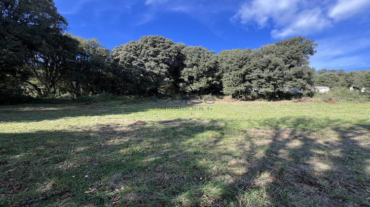 Ma-Cabane - Vente Terrain Santa-Maria-Siché, 1300 m²