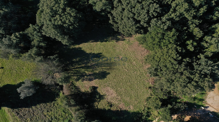 Ma-Cabane - Vente Terrain Santa-Maria-Siché, 1300 m²