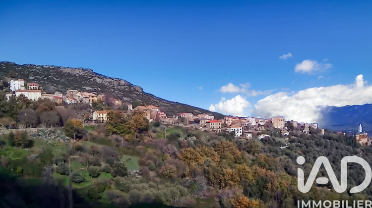 Ma-Cabane - Vente Terrain Santo Pietro Di Tenda, 842 m²