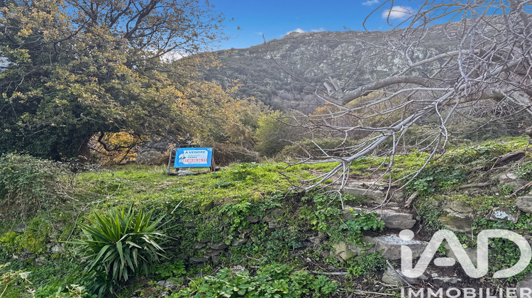 Ma-Cabane - Vente Terrain Santo Pietro Di Tenda, 842 m²