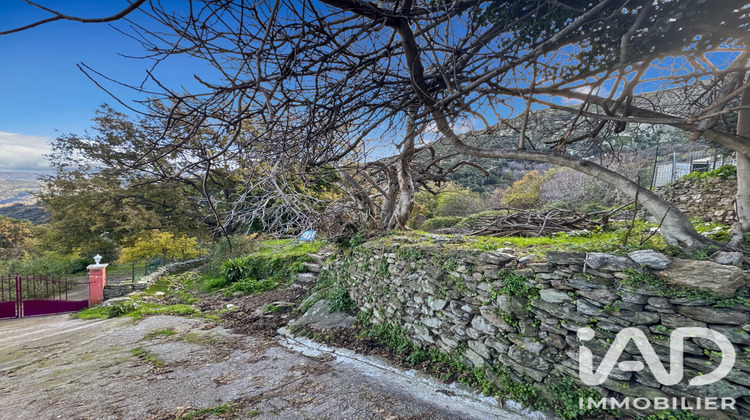 Ma-Cabane - Vente Terrain Santo Pietro Di Tenda, 842 m²