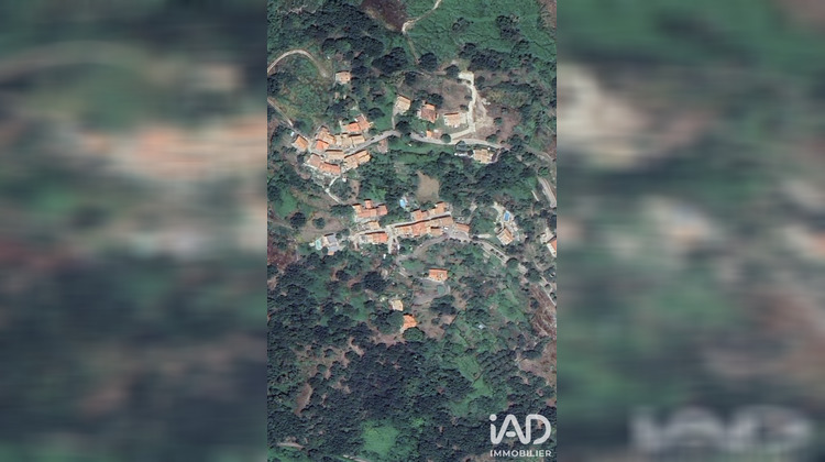 Ma-Cabane - Vente Terrain Santo Pietro Di Tenda, 842 m²