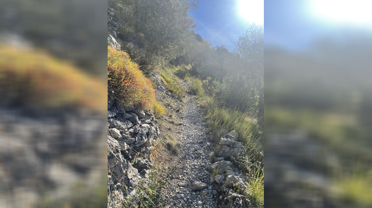 Ma-Cabane - Vente Terrain Saorge, 6955 m²