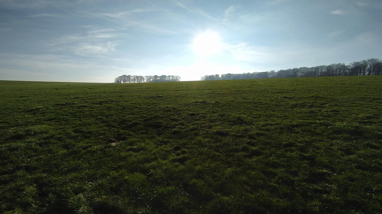 Ma-Cabane - Vente Terrain Sapogne-Et-Feucheres, 1225 m²