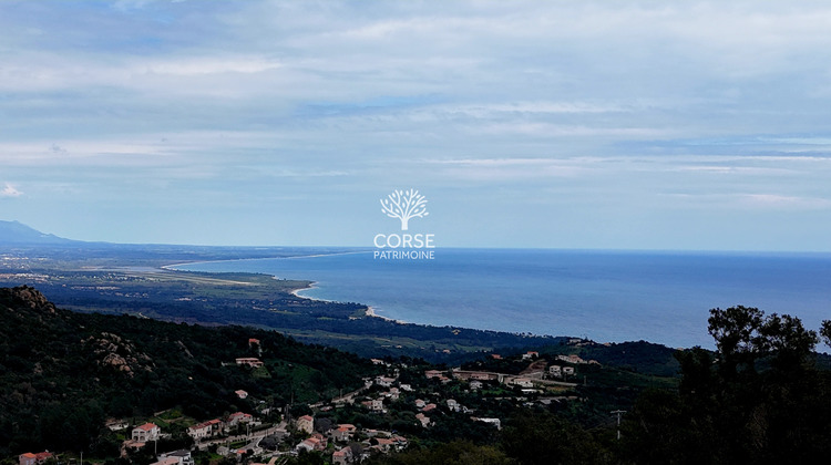 Ma-Cabane - Vente Terrain Sari-Solenzara, 2600 m²