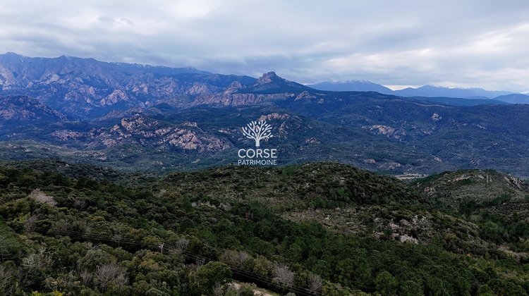 Ma-Cabane - Vente Terrain Sari-Solenzara, 2600 m²