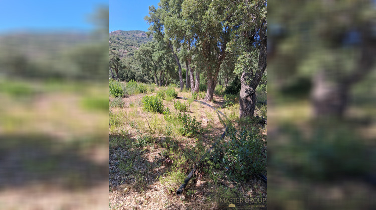 Ma-Cabane - Vente Terrain Sari-Solenzara, 3600 m²