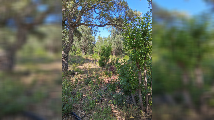 Ma-Cabane - Vente Terrain Sari-Solenzara, 2561 m²