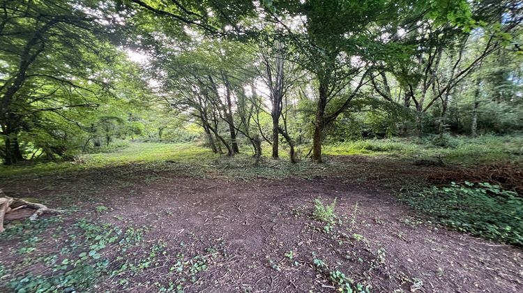 Ma-Cabane - Vente Terrain SARLAT-LA-CANEDA, 3387 m²