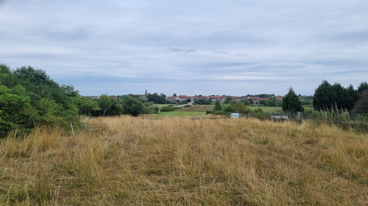Ma-Cabane - Vente Terrain SARRALBE, 4182 m²