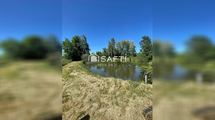Ma-Cabane - Vente Terrain Sarralbe, 3811 m²