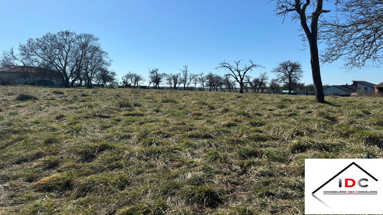 Ma-Cabane - Vente Terrain Sarrebourg, 6900 m²