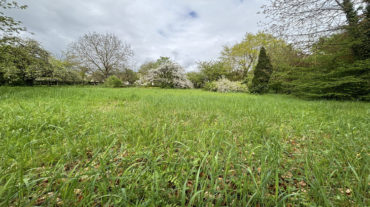 Ma-Cabane - Vente Terrain Sarrebourg, 2771 m²