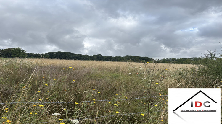 Ma-Cabane - Vente Terrain Sarrebourg, 1900 m²