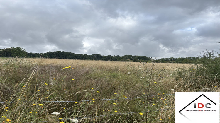 Ma-Cabane - Vente Terrain Sarrebourg, 1900 m²