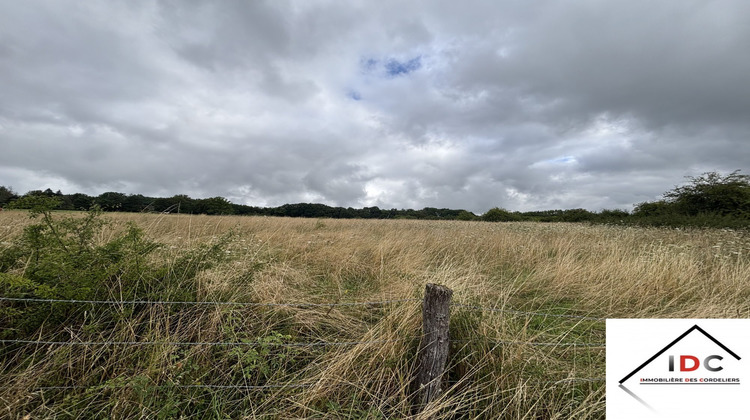 Ma-Cabane - Vente Terrain Sarrebourg, 1900 m²