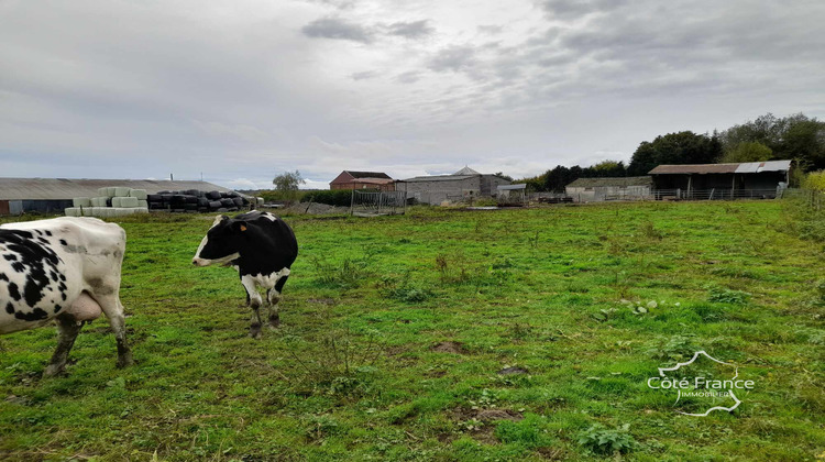 Ma-Cabane - Vente Terrain Sars-Poteries, 5907 m²