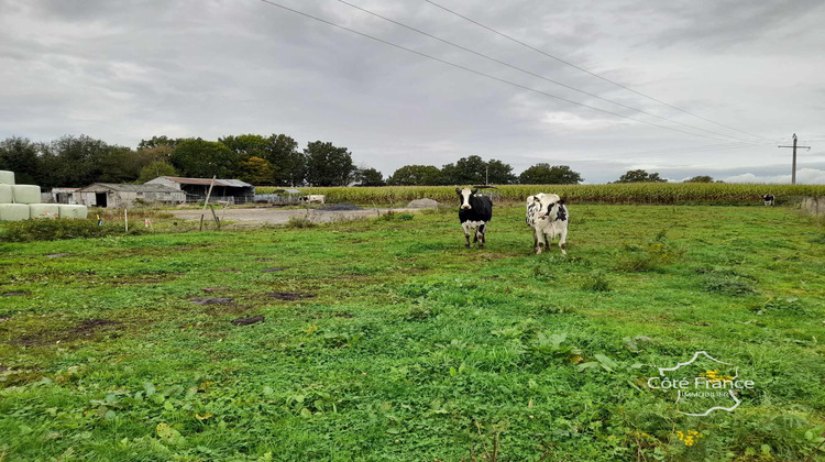 Ma-Cabane - Vente Terrain Sars-Poteries, 5907 m²