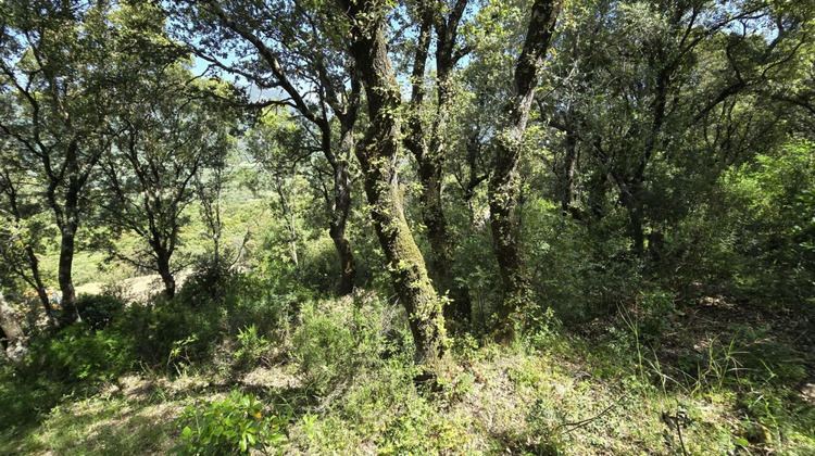 Ma-Cabane - Vente Terrain SARTENE, 2032 m²