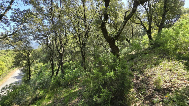 Ma-Cabane - Vente Terrain SARTENE, 2032 m²
