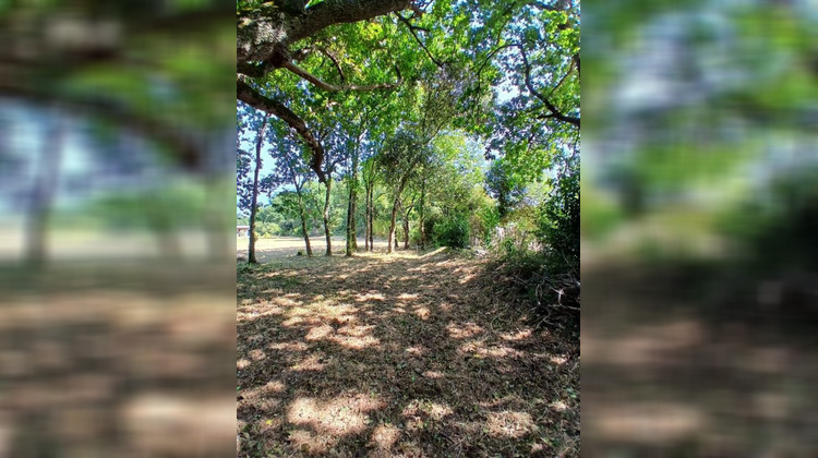 Ma-Cabane - Vente Terrain SARZEAU, 792 m²