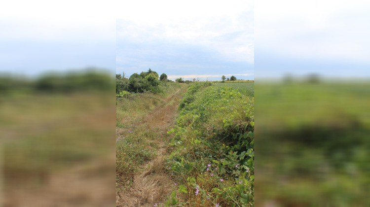 Ma-Cabane - Vente Terrain SAUSSAN, 4448 m²