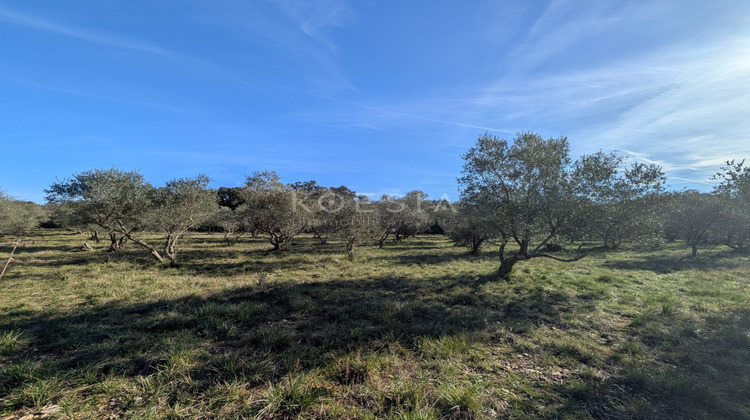 Ma-Cabane - Vente Terrain Sauve, 2000 m²