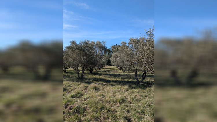 Ma-Cabane - Vente Terrain Sauve, 2000 m²