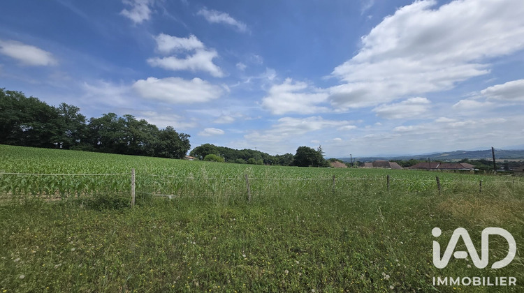 Ma-Cabane - Vente Terrain Sauveterre-de-Béarn, 3229 m²