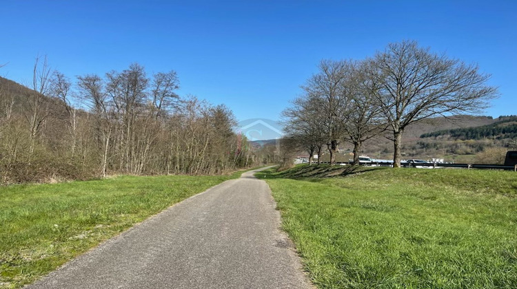 Ma-Cabane - Vente Terrain Schirmeck, 5042 m²