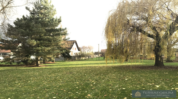 Ma-Cabane - Vente Terrain Schnersheim, 361 m²