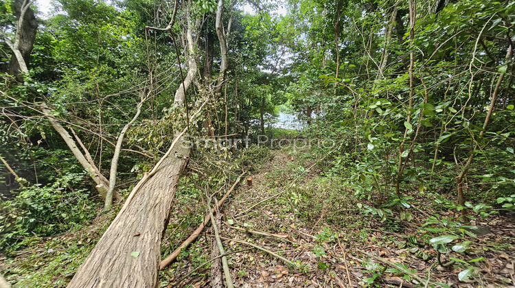 Ma-Cabane - Vente Terrain Schoelcher, 3578 m²