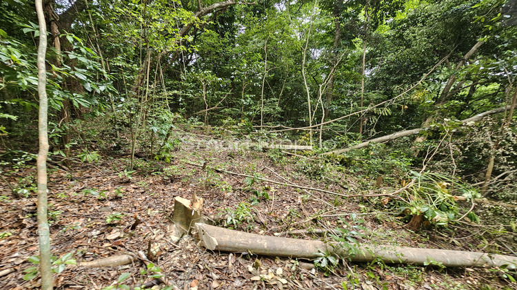 Ma-Cabane - Vente Terrain Schoelcher, 3578 m²