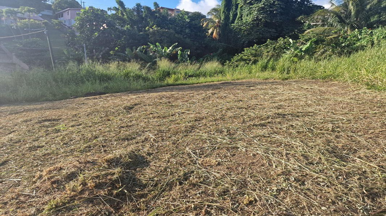 Ma-Cabane - Vente Terrain SCHOELCHER, 517 m²