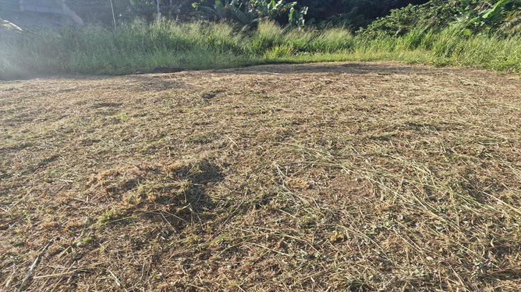 Ma-Cabane - Vente Terrain SCHOELCHER, 517 m²