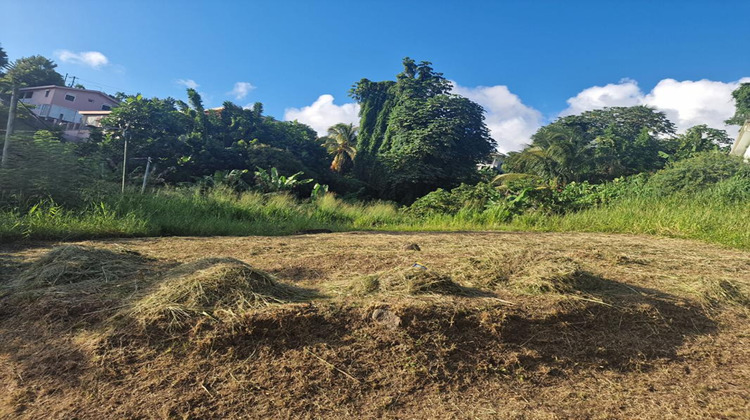 Ma-Cabane - Vente Terrain SCHOELCHER, 517 m²