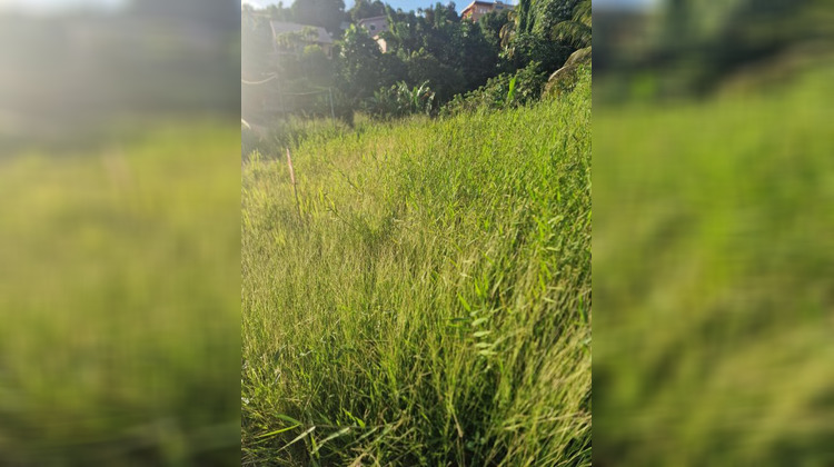 Ma-Cabane - Vente Terrain SCHOELCHER, 517 m²